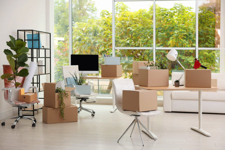Many moving boxes, houseplants and furniture in new office