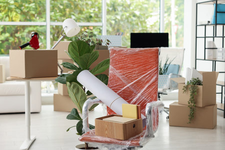 Many moving boxes, houseplants and furniture in new officeの写真素材