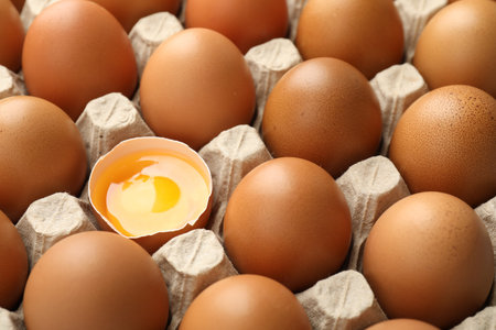 whole Many raw chicken eggs and broken one in carton, closeup