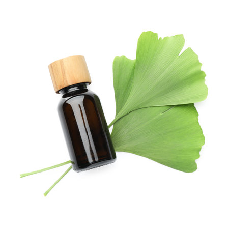 Ginkgo biloba leaves and essence isolated on white, top viewの写真素材