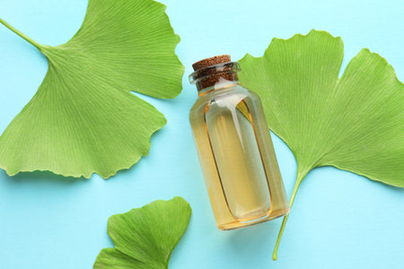 Ginkgo biloba leaves and essence on light blue background, flat layの写真素材