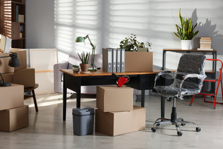 Many moving boxes, houseplants and furniture in new officeの写真素材