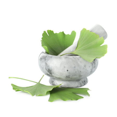 Mortar and pestle with ginkgo biloba leaves isolated on whiteの写真素材