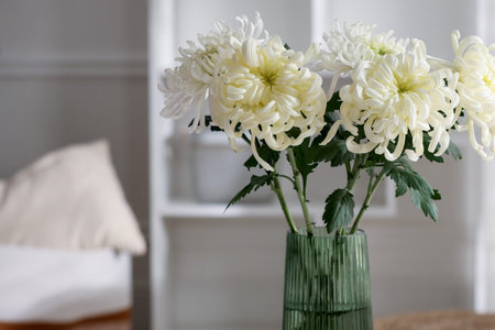Beautiful chrysanthemum flowers in vase indoors, closeupの写真素材