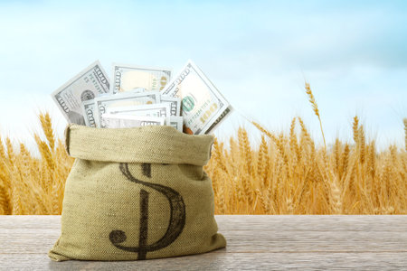 Agricultural production profit. Jar with dollars against wheat fieldの写真素材