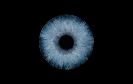 Human eye, closeup. Blue iris with pupil on black background