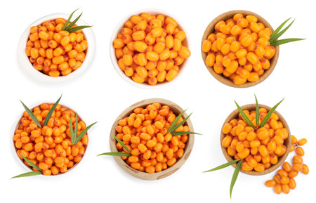 Sea buckthorn berries and green leaves isolated on white, setの写真素材