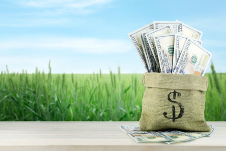 Agricultural production profit. Money bag with dollars against wheat field