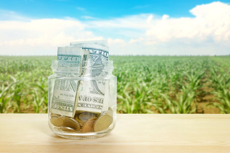 Agricultural production profit. Jar with dollars and coins against corn fieldの写真素材
