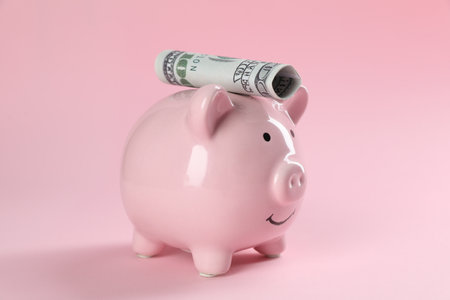 Financial savings. Piggy bank and dollar banknote on pink backgroundの写真素材