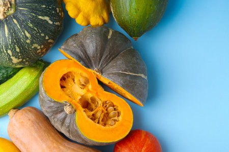Many fresh pumpkins and other gourds on light blue background, flat lay. Space for text