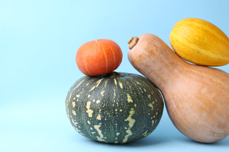 Many fresh gourds on light blue background, closeup with space for text. Gourd familyの写真素材