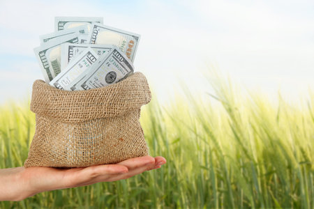 Agricultural production profit.Woman holding bag with dollars against wheat fieldの写真素材