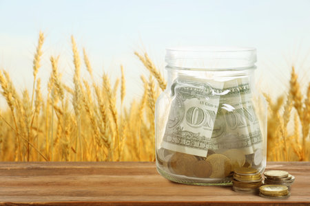 Agricultural production profit. Jar with money against wheat fieldの写真素材