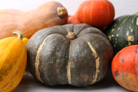 Many fresh pumpkins on light tiled table, closeup. Gourd family