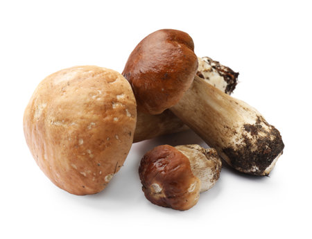 Three fresh porcini mushrooms isolated on whiteの写真素材