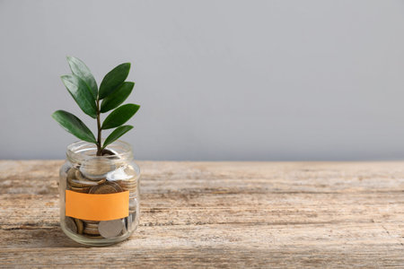 Jar with blank note, money and sprout on wooden table against gray background. Space for text
