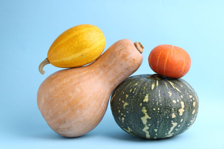 Many fresh pumpkins on light blue background, closeup. Gourd family