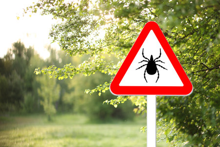 Warning sign marking habitat of ticks in natureの写真素材