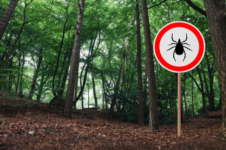 Warning sign marking habitat of ticks in forestの写真素材
