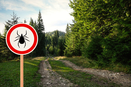Warning sign marking habitat of ticks in natureの写真素材