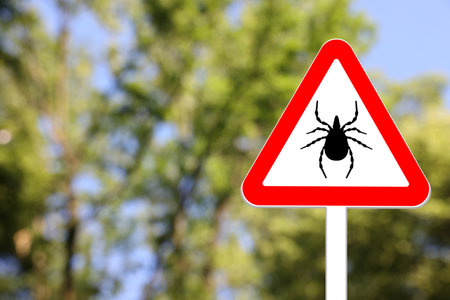 Warning sign marking habitat of ticks outdoorsの写真素材