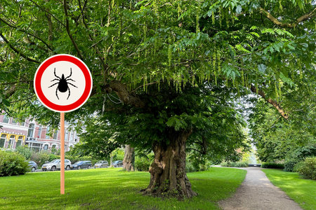 Warning sign marking habitat of ticks near tree