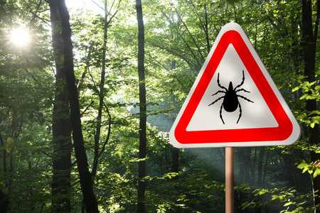 Warning sign in forest marking habitat of ticks