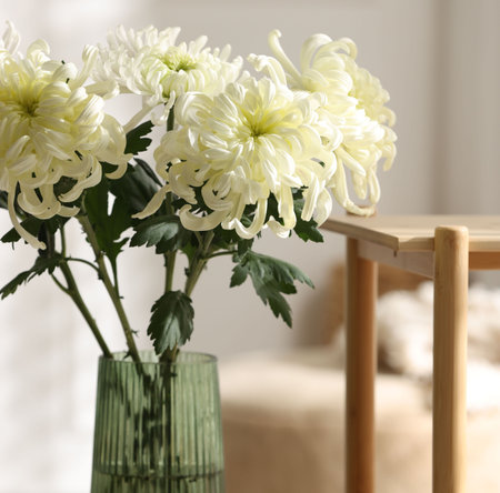 Beautiful white chrysanthemum flowers in vase on wooden shelf indoors, closeupの写真素材