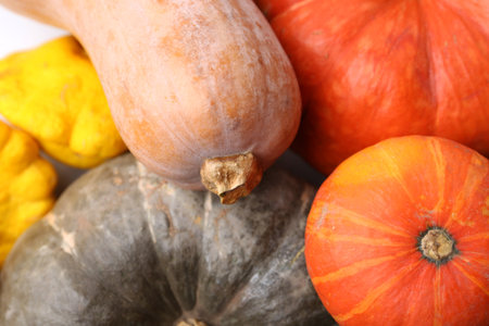 Many fresh pumpkins and pattypan squash as background, above view. Gourd familyの写真素材