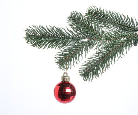 Christmas tree branch with decorative ball on white backgroundの写真素材