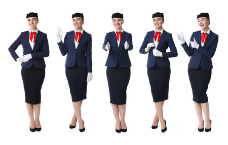 Stewardess in uniform on white background, collection of portraitsの写真素材