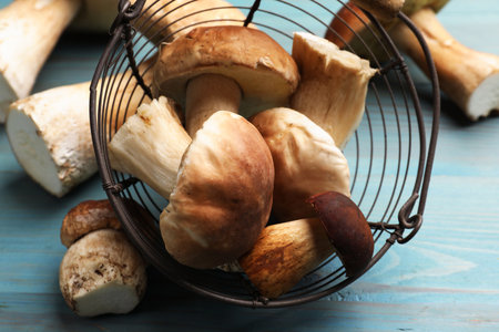 Fresh porcini mushrooms on light blue wooden table, closeupの写真素材