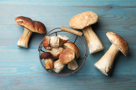 Fresh porcini mushrooms on light blue wooden table, flat layの写真素材