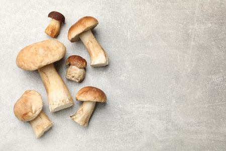 Fresh porcini mushrooms on gray table, flat lay. Space for textの写真素材