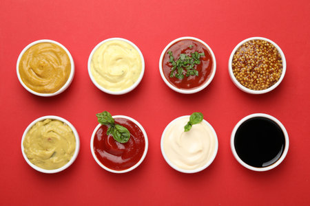 Different sauces and herbs on red background, flat layの写真素材