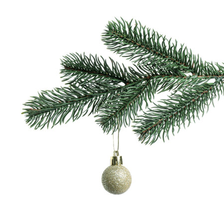 Christmas tree branch with decorative ball isolated on whiteの写真素材