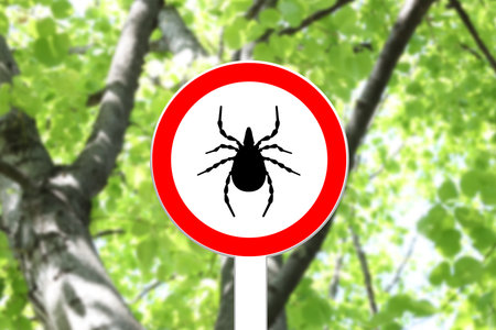 Warning sign marking habitat of ticks near treeの写真素材