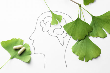 Drawing of human head with brain, ginkgo biloba leaves and pills on white background, flat lay. Alternative medicineの写真素材