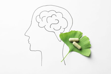 Drawing of human head with brain, ginkgo biloba leaf and pills on white background, top view....