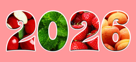 2026 numbers with fruits and mint leaves inside on pink background. New Year banner