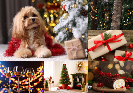 Christmas vibe. Collage of festive themed photosの写真素材
