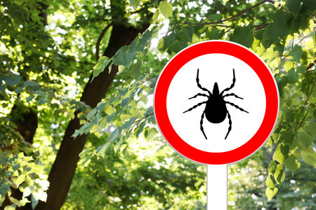 Warning sign marking habitat of ticks near treeの写真素材