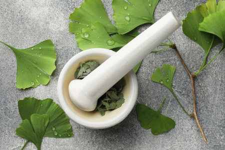 Wet ginkgo biloba leaves, mortar and pestle on gray textured table, flat layの写真素材