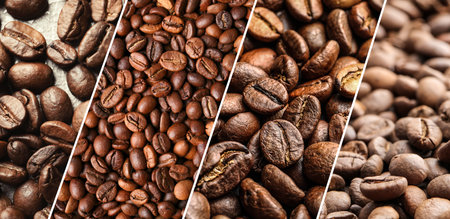 Roasted coffee beans, collage of pictures. Banner designの写真素材