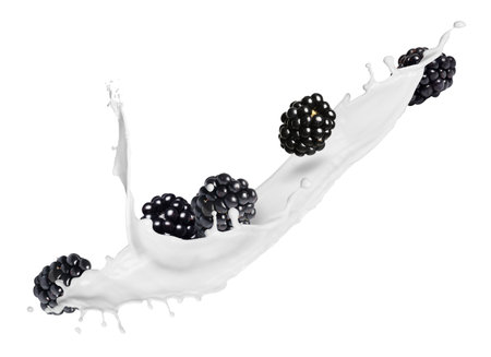 Milkshake splash and blackberries in air on white backgroundの写真素材