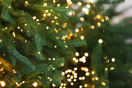 Branches of beautiful Christmas tree with festive lights, closeup. Bokeh effectの写真素材