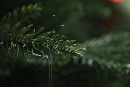 Branches of artificial Christmas tree, macro view