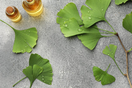 Wet ginkgo biloba leaves and bottles of essential oil on gray textured table, flat layの写真素材