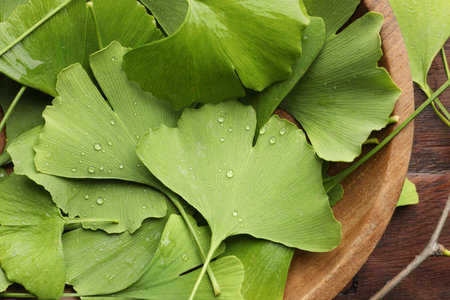 Wet ginkgo biloba leaves in bowl on wooden table, top view